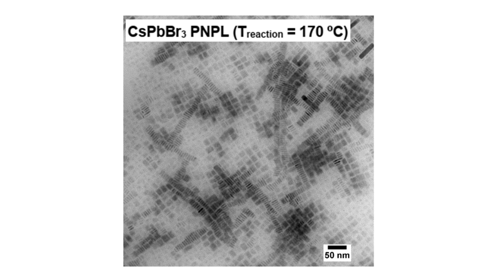 Standard Post with Gallery